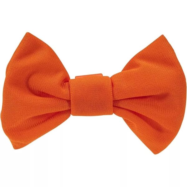 Set Para Disfraz Blippi 4 pzas - Imagen 4